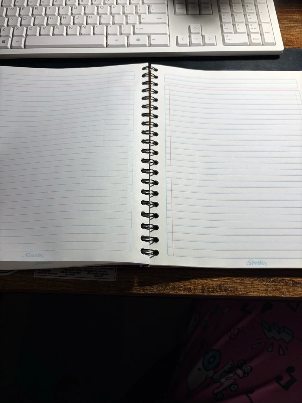 Scribe Notebook San Juditas
